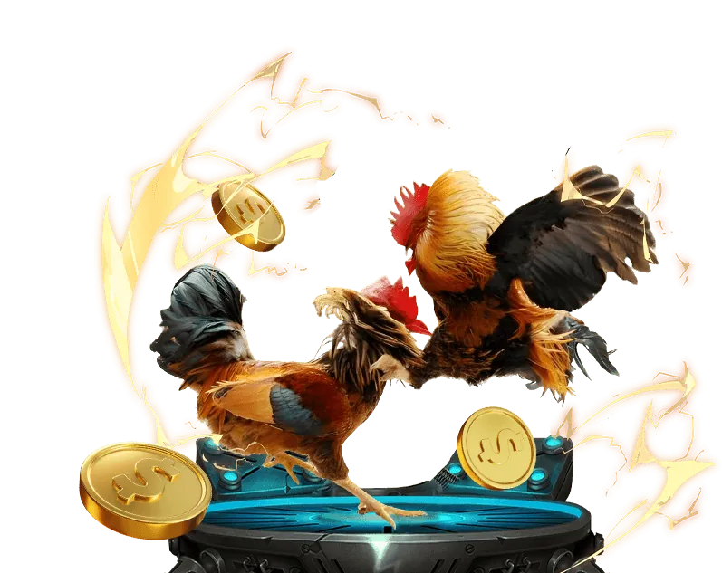 Các loại hình đá gà trực tuyến phổ biến